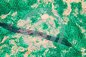 Human cells and water at the microscope