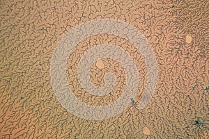 Human cells and water at the microscope