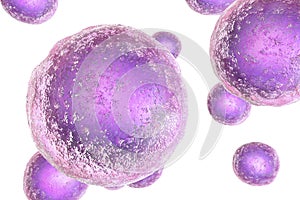 Human cells, illustration