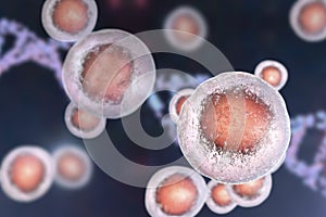 Human cells, illustration