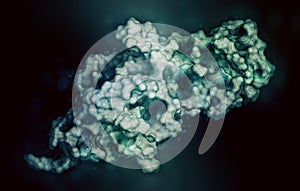 Human Chorionic Gonadotropin (hCG) glycoprotein hormone, 3D rendering. Used in fertility treatments and in vitro fertilization.