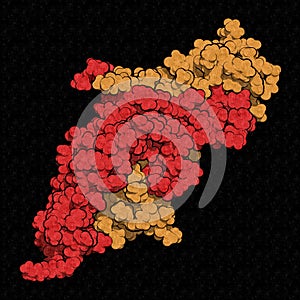 Human Chorionic Gonadotropin (hCG) glycoprotein hormone, 3D rendering. Used in fertility treatments and in vitro fertilization.