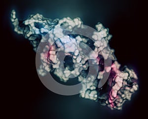 Human Chorionic Gonadotropin hCG glycoprotein hormone, chemical structure. Used in fertility treatments and in vitro