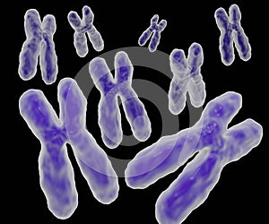 Human chromosomal DNA 3d rendering