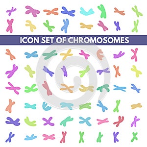 Human chromosome