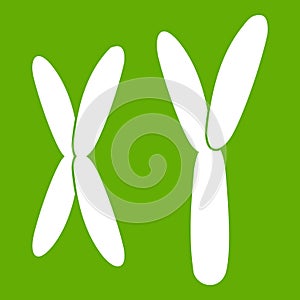 Human chromosomes icon green