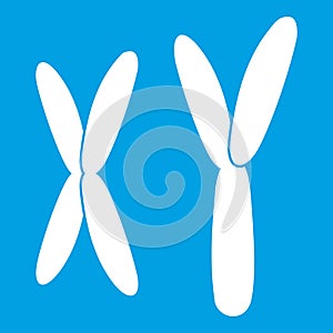 Human chromosomes icon white