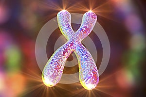 Human chromosomes, illustration