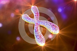 Human chromosomes, illustration