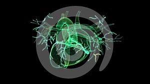 Human Circulatory System Heart Beat Anatomy Animation Concept.Motion animation of human heart. Digital technology