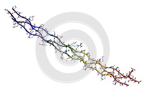 Human collagen molecule (segment) photo