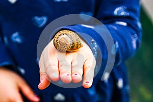 Snail on an innocent child`s hand photo