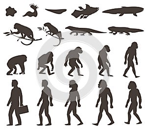 Human Darwin Evolution Silhouettes Set