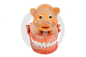 Human Dentures Model with Piggy Bank