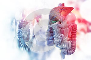 Human digestive system on scientific background