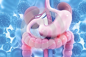 Human digestive system on scientific background