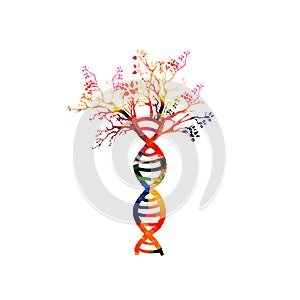 Human DNA double helix with tree colorful concept vector illustration. DNA spiral isolated design for genetics, biotechnology, sci