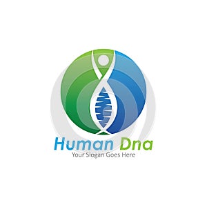 Human DNA and genetic vector icon design.