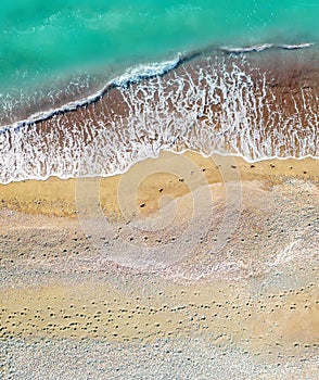 Human and dog footprints on a sandy shore along the sea, aerial vertical shot directly above
