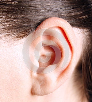 Human ear