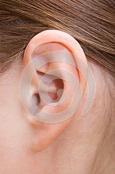 Human ear photo