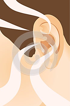 Human ear