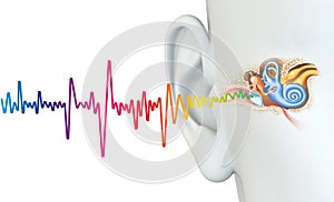 Human ear anatomy with colorful sound wave, medically 3D illustration