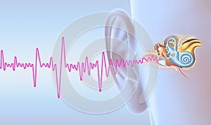 Human ear anatomy with magenta soundwave, medically 3D illustration