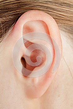 Human ear, auricle close-up, structure, anatomy, human hearing