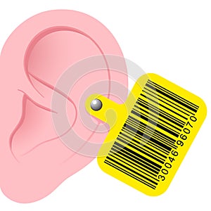 Human ear with bar code earmark photo