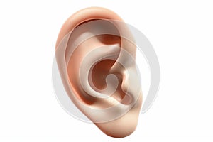 Human Ear Close-up