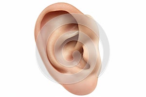 Human Ear Close-up