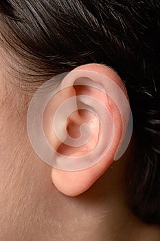 Human ear close up