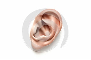 Human Ear Close-up on White Background