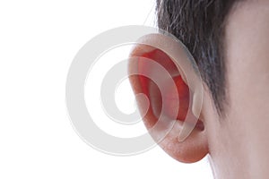 Human ear closeup.