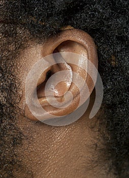 Human ear detail close-up macro shot