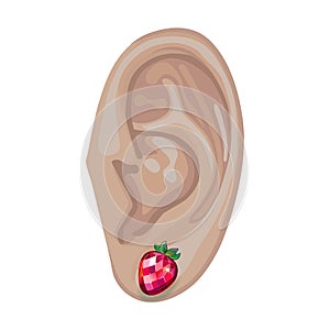 Human ear & earring