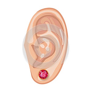 Human ear & earring