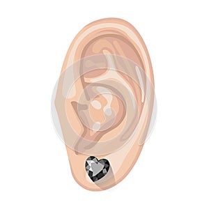 Human ear & earring