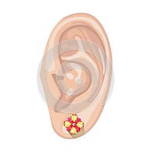Human ear & earring photo