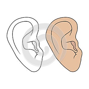 The human ear. EPS 10 vector stock illustration.