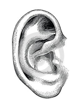 Human ear hand draw vintage clip art isolated on white background