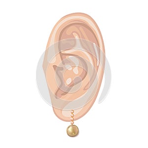 Human ear & hanging pearl earring photo