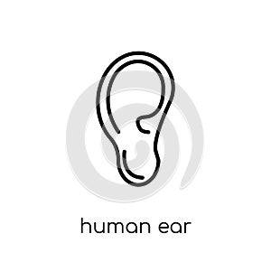 Human Ear icon. Trendy modern flat linear vector Human Ear icon