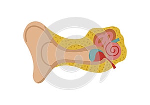 Human ear isolated vector icon