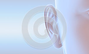 Human ear, medically 3D illustration on light blue background