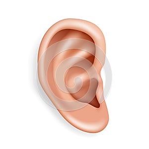 Human ear organ hearing health care closeup realistic 3d isolated icon design vector illustration