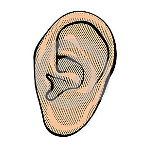 Human ear in retro