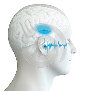 Human ear with soundwave and marked auditory cortex, medically 3D illustration photo