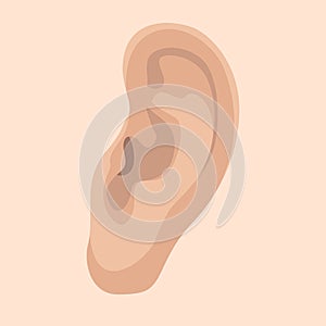 Human ear, vector illustration,flat style, profile